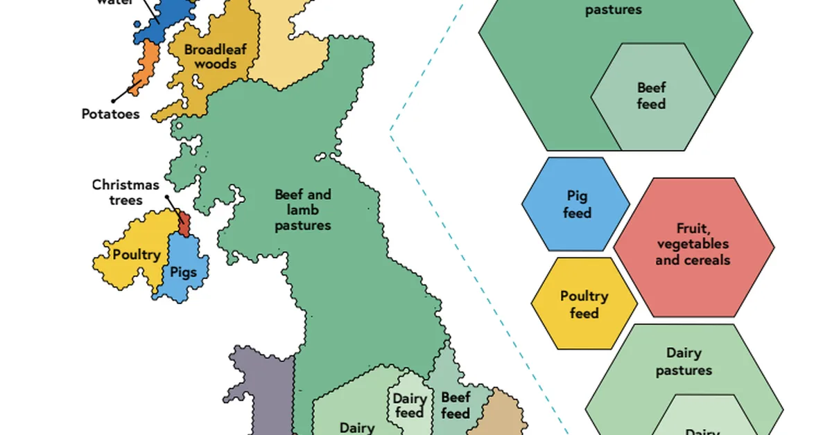 Q&A: What England's new 'land-use framework' means for climate, nature and food