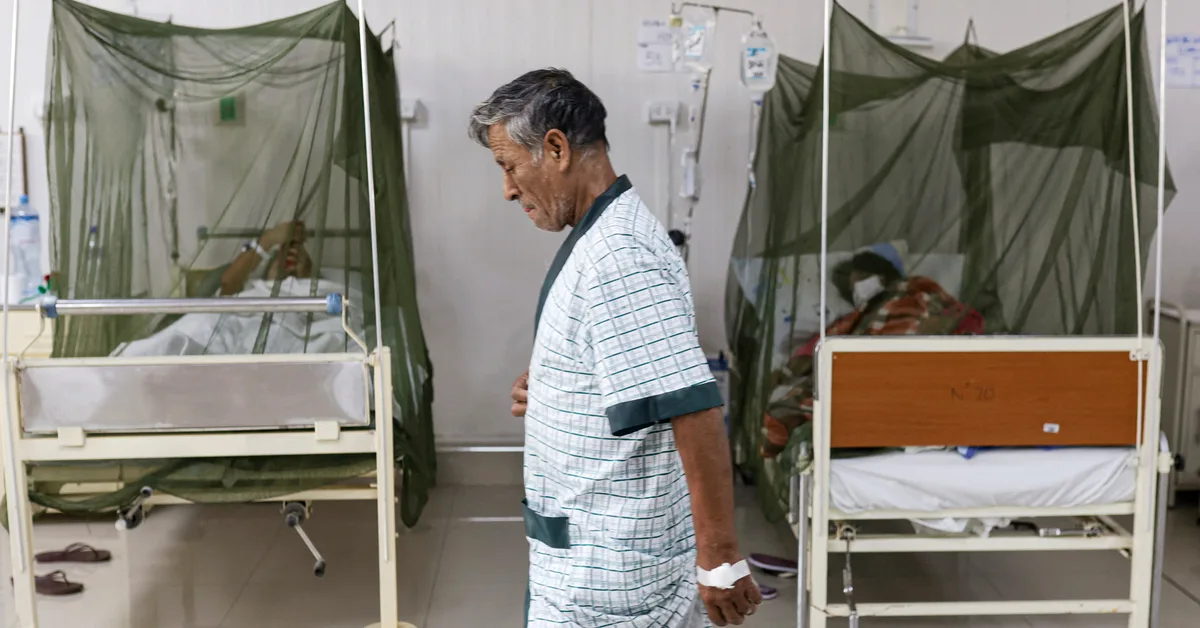 A New Study Links a Record-Breaking Tropical Disease Outbreak in Peru to Climate-Driven Extreme Weather