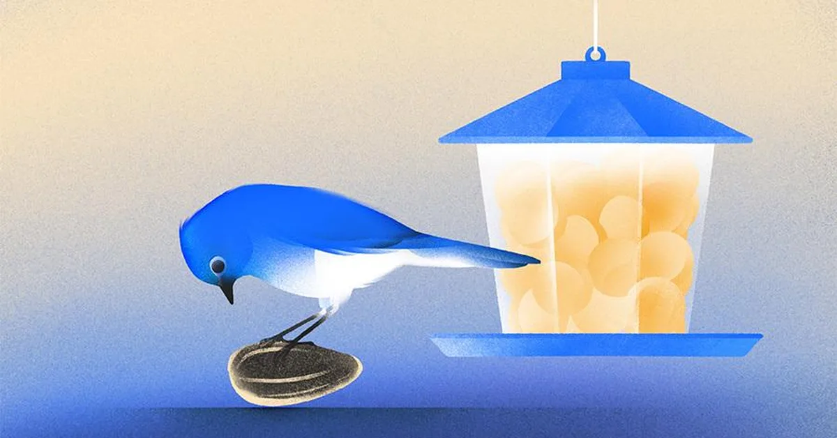 Seed Funding Hasn't Stalled, But It's Skewing Larger And Is More Competitive Than Ever, Crunchbase Data Shows